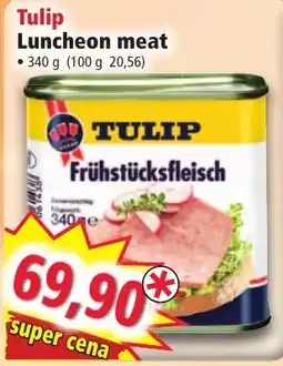 Norma Tulip luncheon meat nabídka
