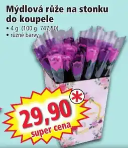 Norma Mýdlová růže na stonku nabídka