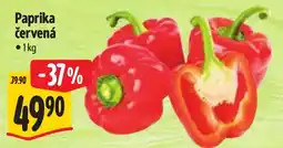 Albert Paprika červená nabídka