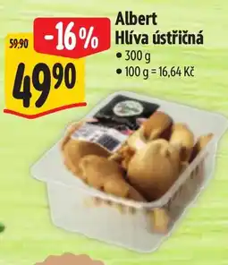 Albert Albert Hliva ústřičná nabídka