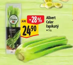 Albert Albert Celer řapíkatý nabídka