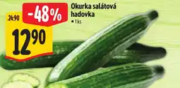 Albert Okurka salátová hadovka nabídka