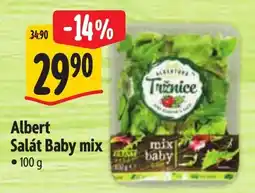 Albert Albert Salát Baby mix nabídka