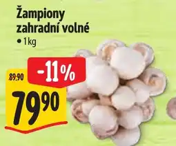 Albert Žampiony zahradní volné nabídka