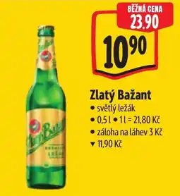 Albert Zlatý Bažant nabídka