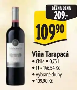 Albert Viña Tarapacá nabídka