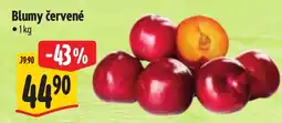 Albert Blumy červené nabídka