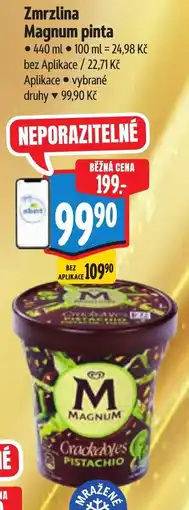 Albert Magnum zmrzlina pinta nabídka