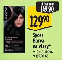 Albert Syoss Barva na vlasy* nabídka