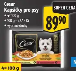 Albert Cesar kapsičky pro psy nabídka