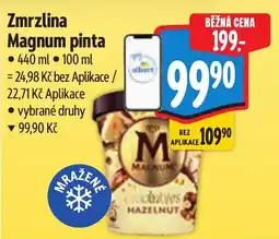 Albert Magnum pinta nabídka