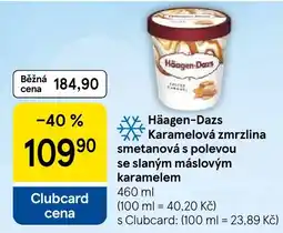 Tesco Häagen-Dazs karamelová zmrzlina smetanová s polevou se slaným máslovým karamellem nabídka