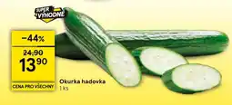 Tesco Okurka hadovka nabídka