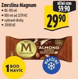 Albert Magnum zmrzlina s oříšky nabídka