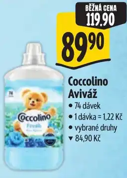 Albert Coccolino Aviváž nabídka