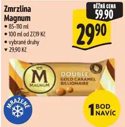 Albert Magnum Zmrzlina nabídka