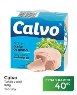 Tamda Foods Calvo Tuňák v oleji nabídka