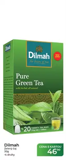 Tamda Foods Dilmah Zelený čaj nabídka