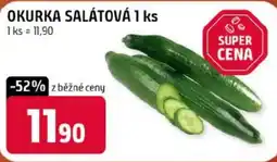 Terno Okurka salátová nabídka