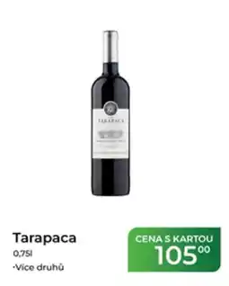Tamda Foods Tarapaca nabídka