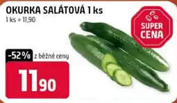 Trefa Okurka salátová nabídka