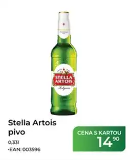 Tamda Foods Stella Artois pivo nabídka