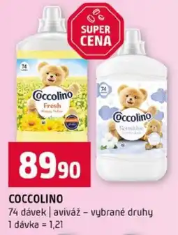 Terno Coccolino nabídka