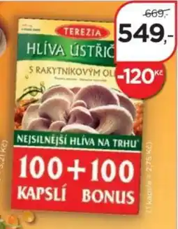 Magistra lékárny Terezia hlíva ústřič nabídka