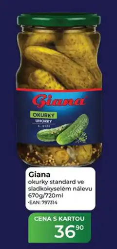 Tamda Foods Giana okurky standard nabídka
