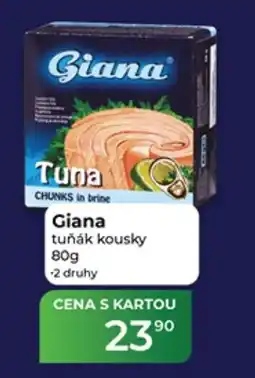 Tamda Foods Giana tuňák kousky nabídka