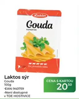 Tamda Foods Laktos sýr Gouda nabídka