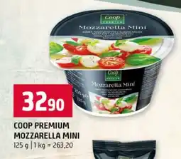 Terno Coop Premium Mozzarella Mini nabídka