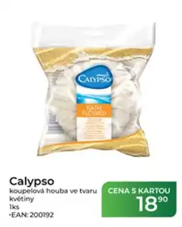 Tamda Foods Calypso koupelová houba ve tvaru květiny nabídka
