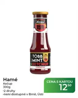 Tamda Foods Hamé kečup nabídka