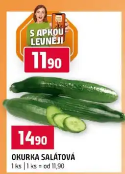 Terno Okurka salátová nabídka
