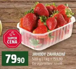 Terno Jahody zahradní nabídka