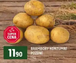 Terno Brambory konzumní pozdní nabídka