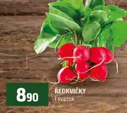 Terno Ředkvičky nabídka