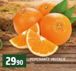 Terno Pomeranče valencie nabídka