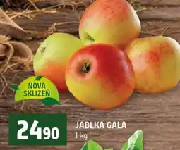 Terno Jablka gala nabídka