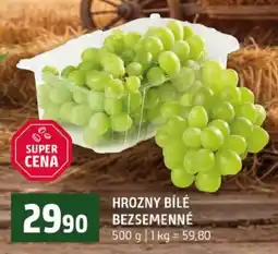 Terno Hrozny bílé bezsemenné nabídka