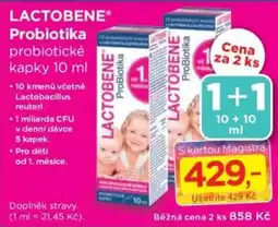 Magistra lékárny Lactobene probiotické kapky nabídka
