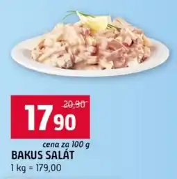 Terno Bakus salát nabídka