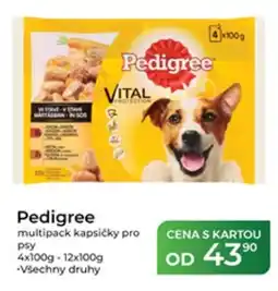 Tamda Foods Pedigree multipack kapsičky pro psy nabídka