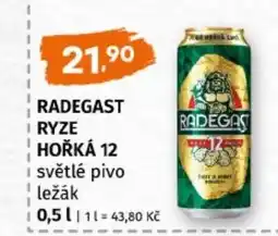Terno Radegast ryze hořká 12 nabídka