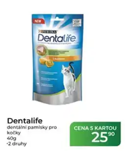 Tamda Foods Dentalife dentální paminky pro kočky nabídka
