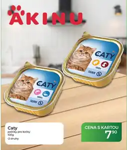 Tamda Foods Akinu caty paštiky pro kočky nabídka