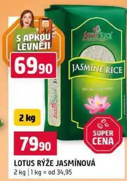 Terno LOTUS RÝŽE JASMÍNOVÁ nabídka