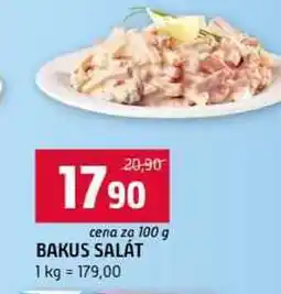 Terno BAKUS SALÁT nabídka