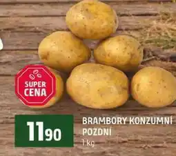 Terno BRAMBORY KONZUMNÍ POZDNÍ nabídka